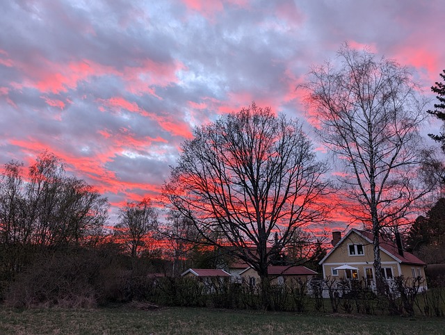 Free Sunset Nature photo and picture