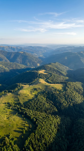 Luftaufnahme, Wälder, Tal, Natur