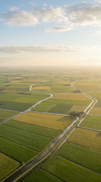 Luftaufnahme, Landwirtschaft, Felder