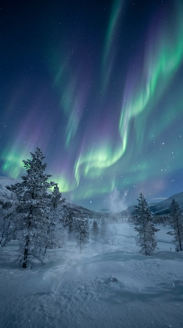 Polarlicht, Winterlandschaft