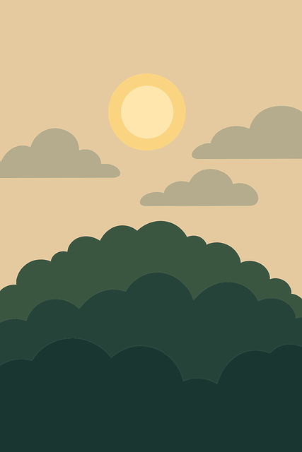 Landschaft, Minimalistisch, Büsche