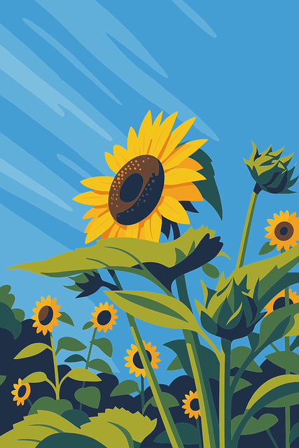 Girasol, Floral, Verano, Natural, Campo