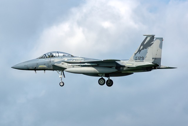 Free F15 Fighter Jet photo and picture