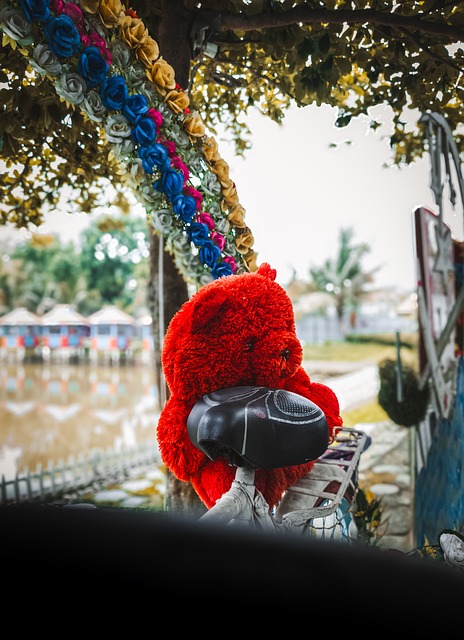 Rot, Teddybär, Strohhut, Rose, Symbolik