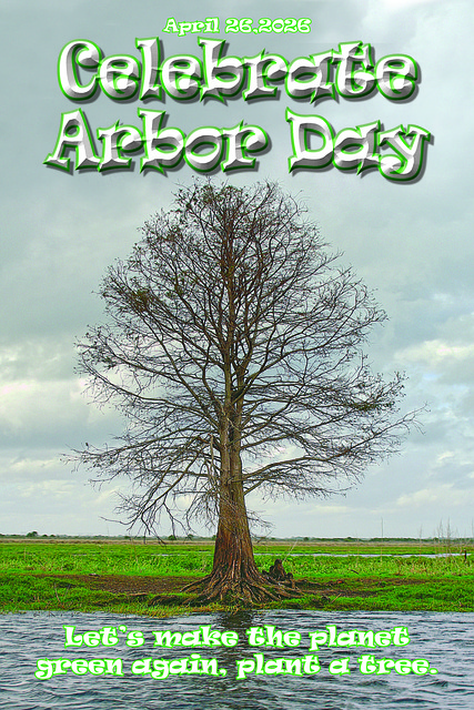 Free Tree Nature photo and picture