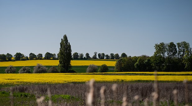 Free Landscape Spring photo and picture