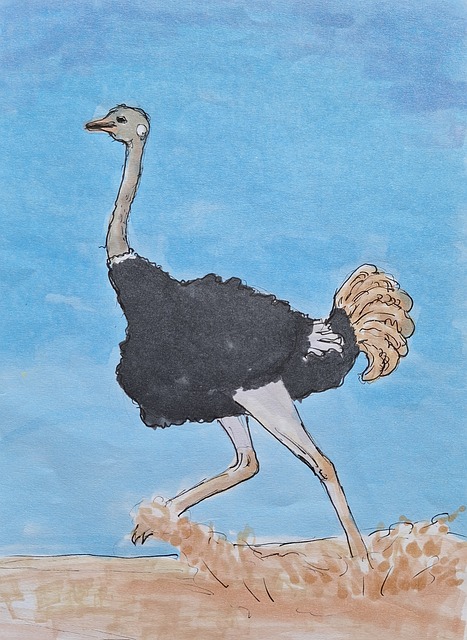 Avestruz, Pintura, Arte, Acuarela