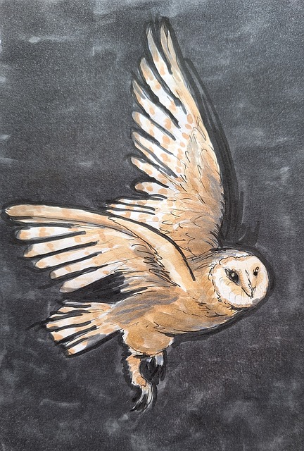 Búho, Pájaro, Dibujo, Noche, Oscuridad