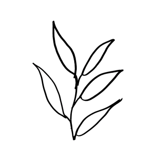 Planta, Minimalista, Diseño Sencillo