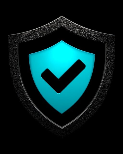 Free shield check blue illustration