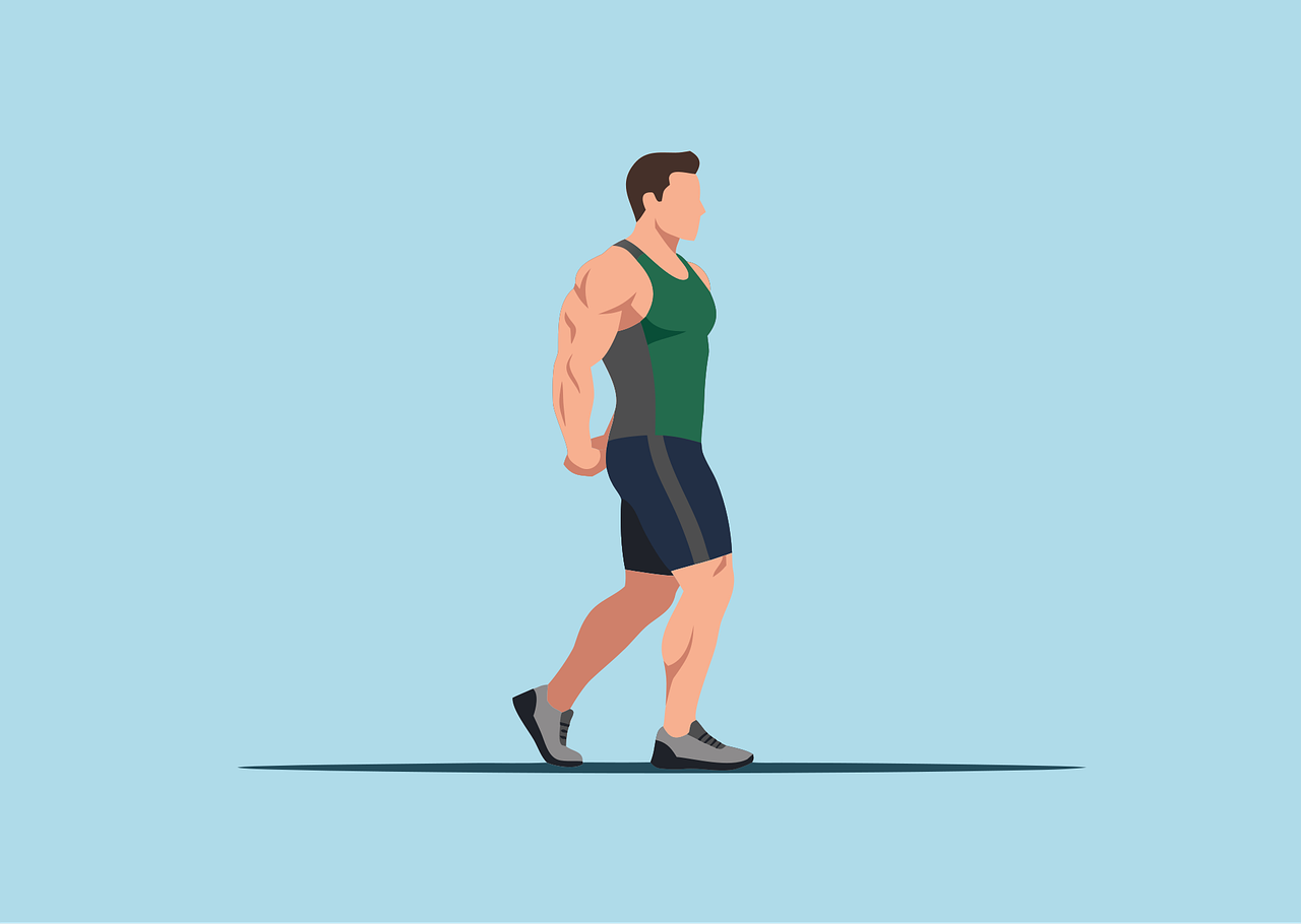 Body Training Vector Download Fitness, Bodybuilder, Muscle. Royalty-Free Vector Graphic ...