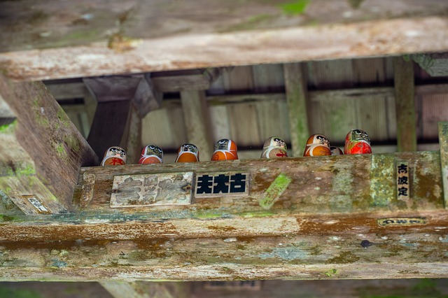 Free Japan Wooden Toys photo and picture