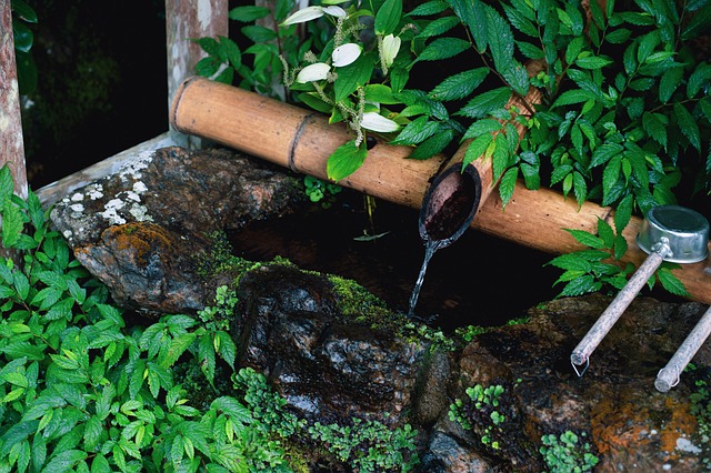 Free Bamboo Garden photo and picture