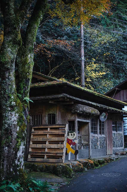 Free Japan Autumn photo and picture