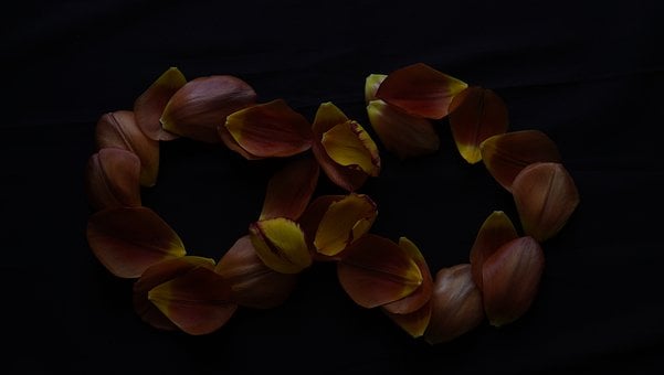 Unendlichkeit, Symbol, Tulpenblätter
