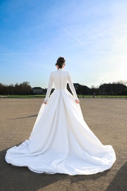 Free Bride Wedding Dress photo and picture