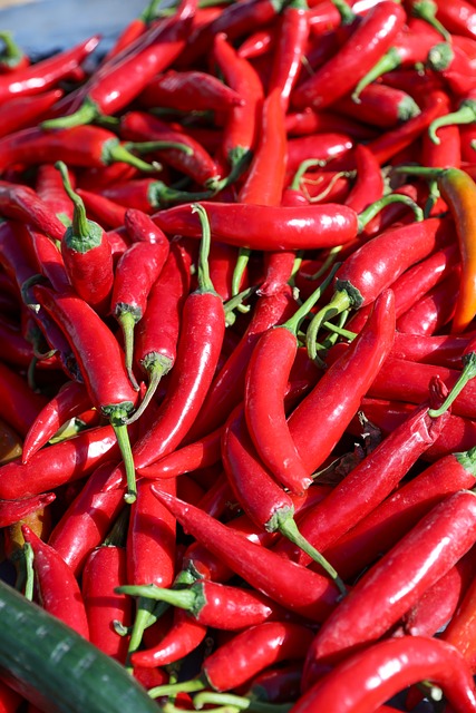 Free Chilli Spicy photo and picture