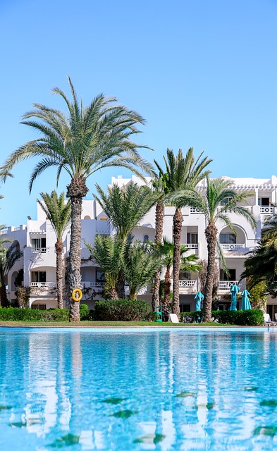 Free Swimming Pool Palm Trees photo and picture