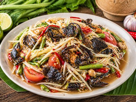 Free Papaya Salad illustration and picture