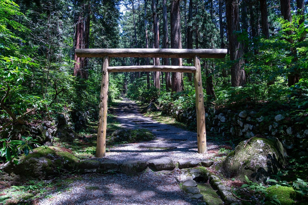 Download free HD stock image of Torii Gate Japanese Forest Free Torii Gate Japanese Forest photo and picture