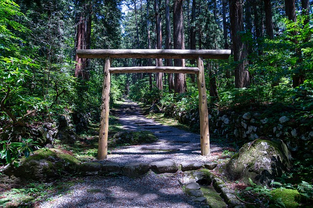Free Torii Gate Japanese Forest photo and picture