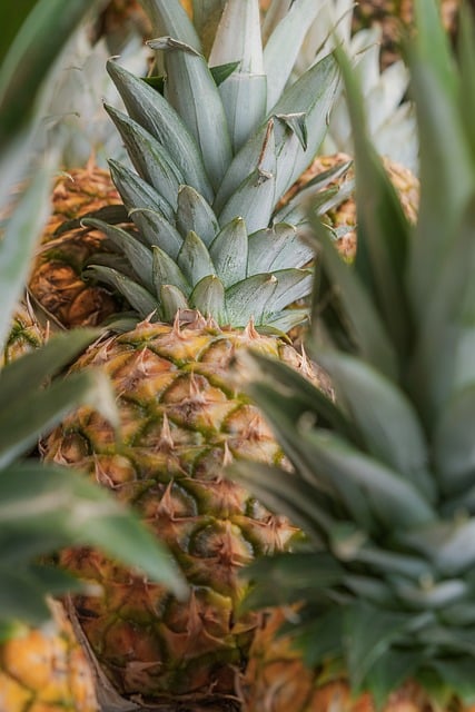 Pineapple Fruit Tropical - Free photo on Pixabay