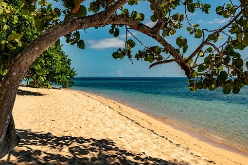 Playa, Arena, Árbol, Naturaleza, Paisaje