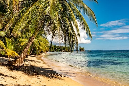 Playa, Palmeras, Tropical, Mar, Isla