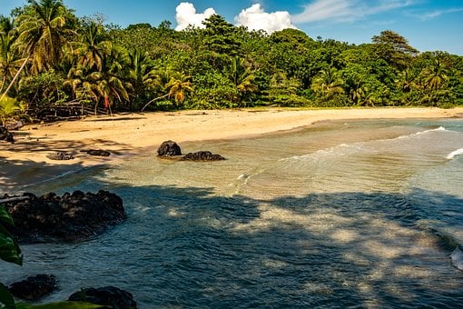 Playa, Arena, Caribe, Panamá, Árboles