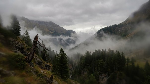Berg, Mist, Vallei, Bos, Natuur