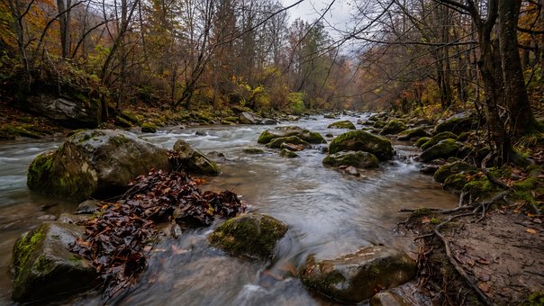 Rivier, Herfst, Bos, Stenen, Bladeren