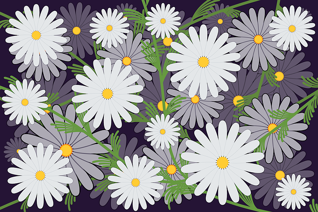 Free floral pattern daisy bloom white petals vector