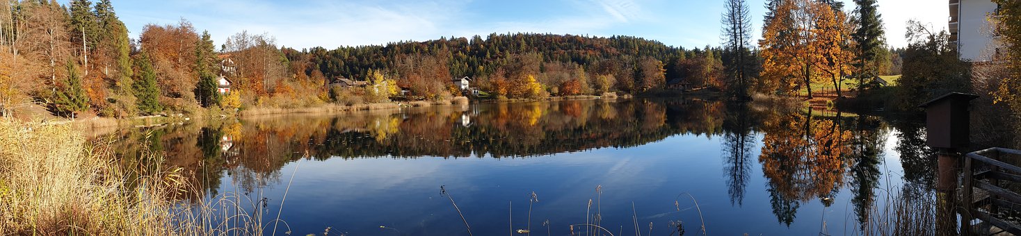 Lac, Reflexie, Toamnă, Copaci