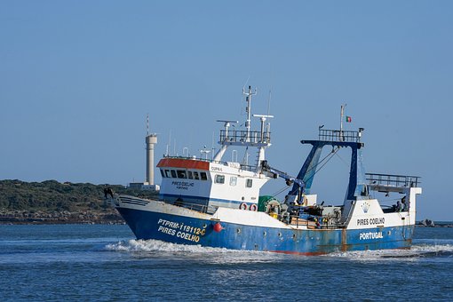 Fischerboot, Portugal, Hafen, Leuchtturm
