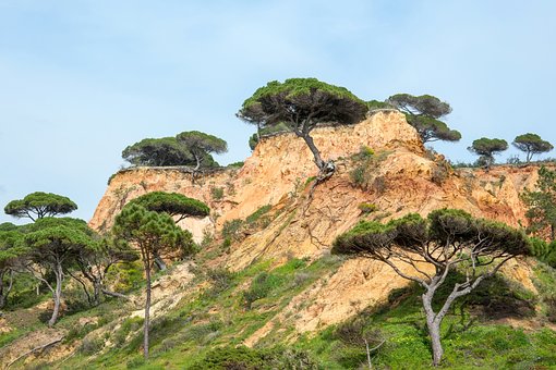 Algarve, Küste, Bäume, Natur, Felsen