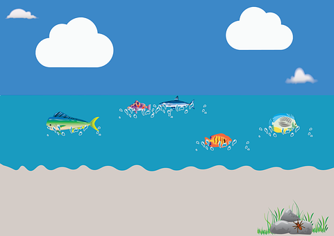 Free Fish Ocean illustration and picture
