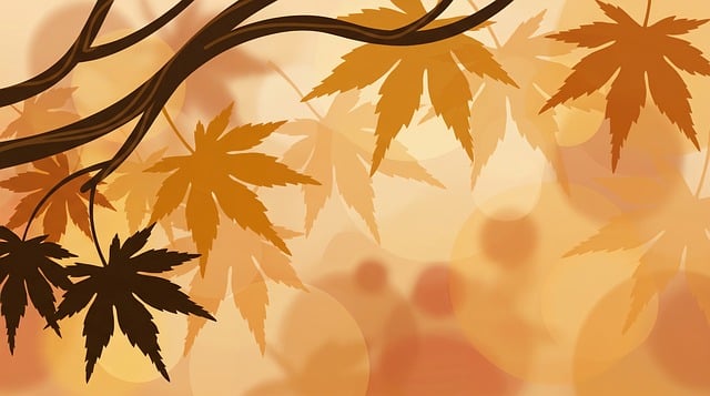 Free autumn maple leaves autumn leaves illustration