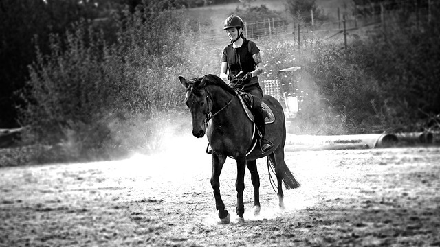 Pferd, Frau, Reiter, Schwarzweiß, Equine