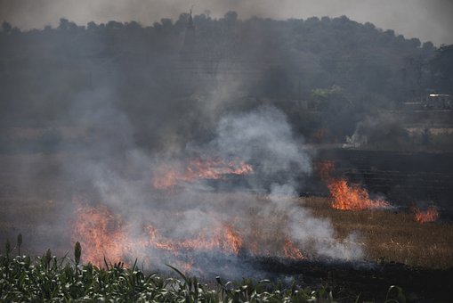 Brand, Landskab, Røg, Felt, Skovbrand