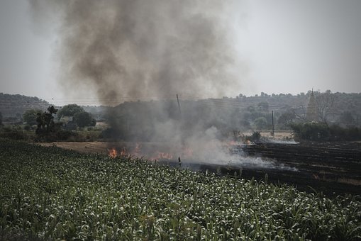 Felt, Græsbrand, Røg, Himmel, Landbrug