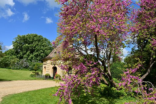Free Architecture House photo and picture
