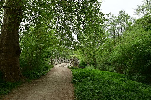 Free Bridge Natural photo and picture