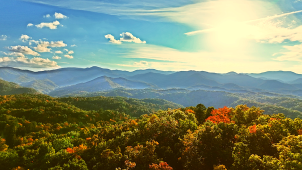 Free Leaves Autumn photo and picture