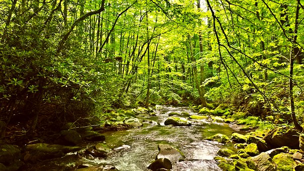 Free River Nature photo and picture