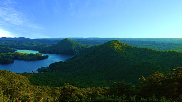 Free Lake Forest photo and picture