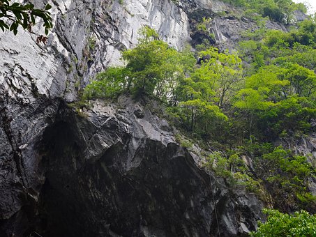 Jungle, Klippe, Hule, Klatring, Eventyr