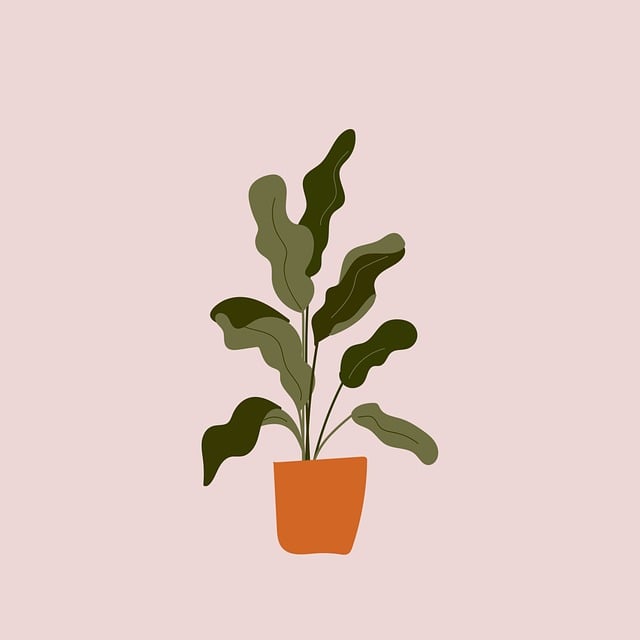 Free houseplant flowerpot leaves illustration