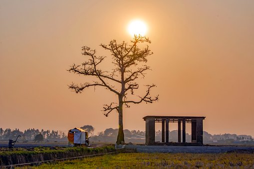 Sonnenuntergang, Baum, Haus, Feld