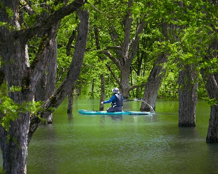 Free Kayak Nature photo and picture