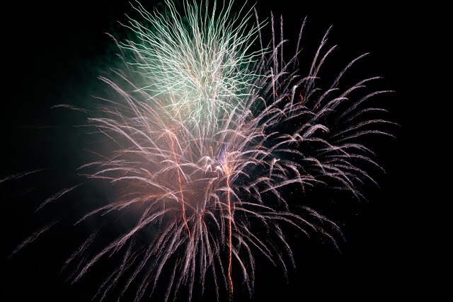 Free Fireworks Night photo and picture
